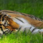 1ed86570-c4bc-11f1-9ce9-55293bd7f0d9.png