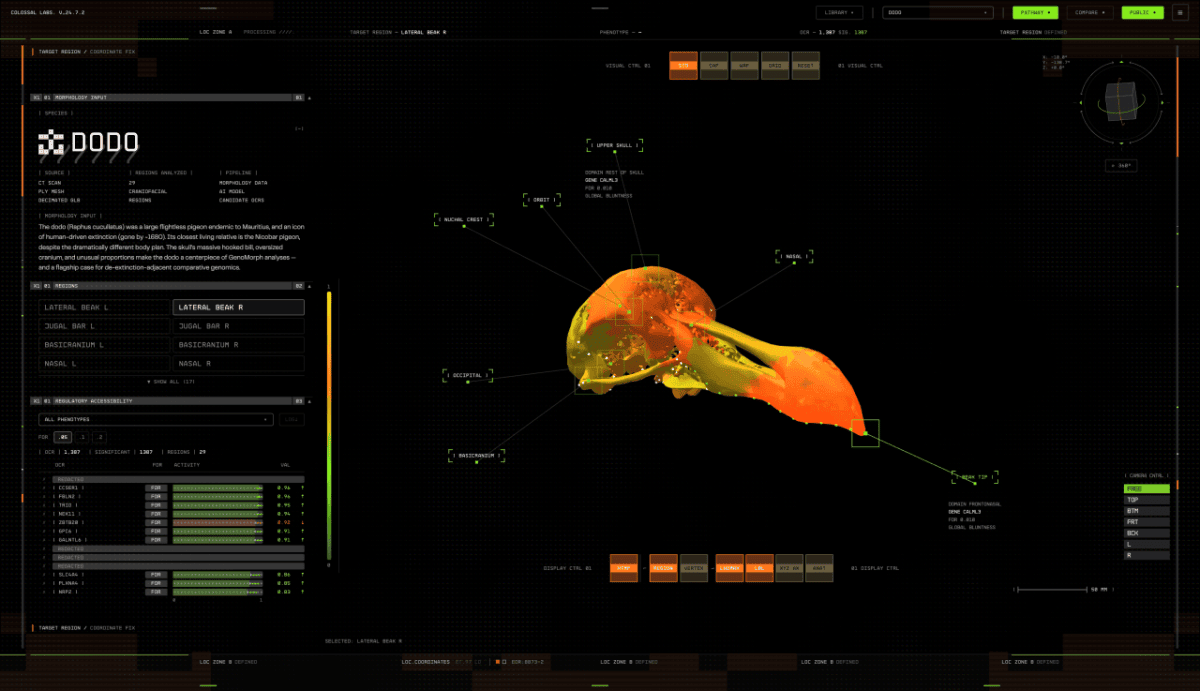 Colossal-Labs-2.png