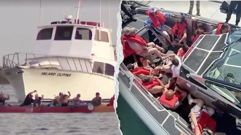 Newport-Beach-Illegal-Alien-Operation-Split.jpg