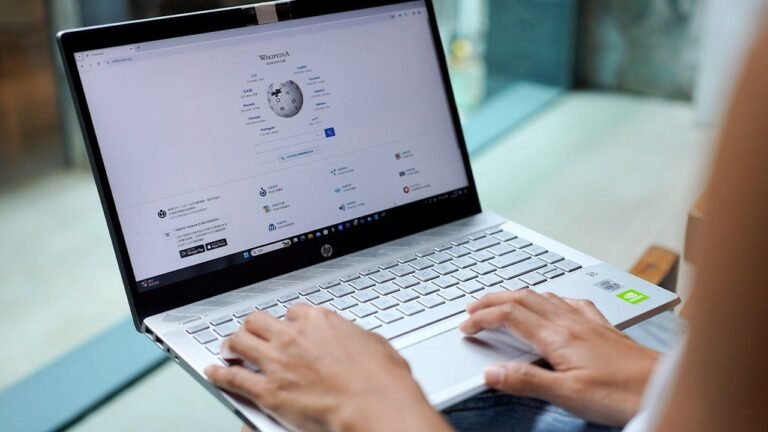 PERSON-USING-WIKIPEDIA-LAPTOP.jpg
