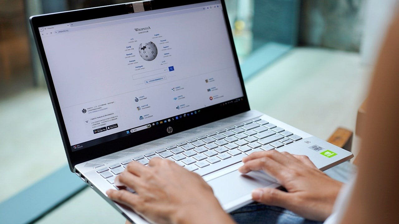 PERSON-USING-WIKIPEDIA-LAPTOP.jpg