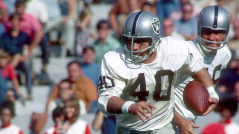 Pete-Banaszak-NFL-game.jpg
