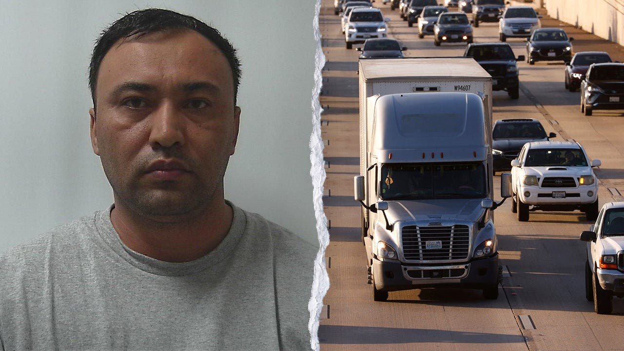 Uzbek-Mugshot-traffic.jpg