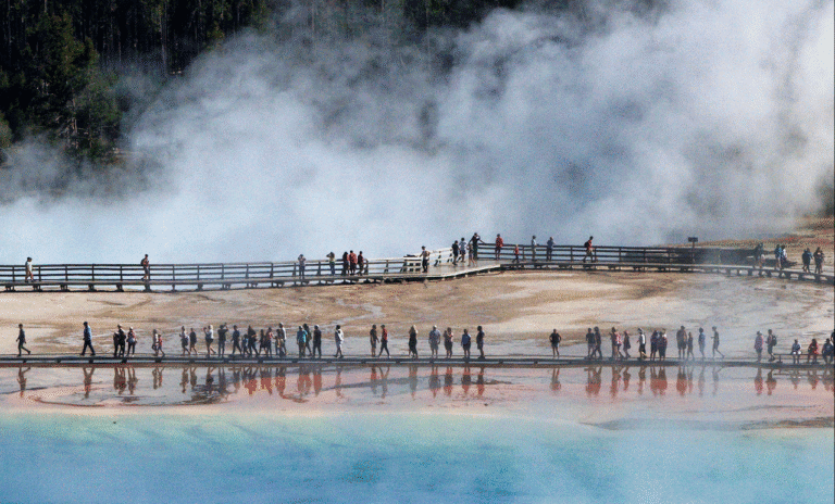 Yellowstone-National-Park-Visitors.png