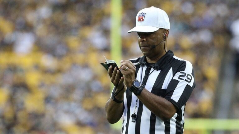 adrian-hill-referee-seahawks-steelers.jpg