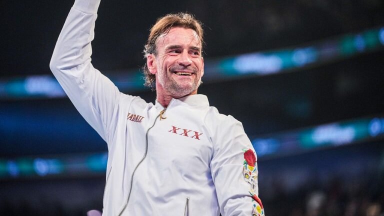 cm-punk-money-in-the-bank-fox-news_.jpg