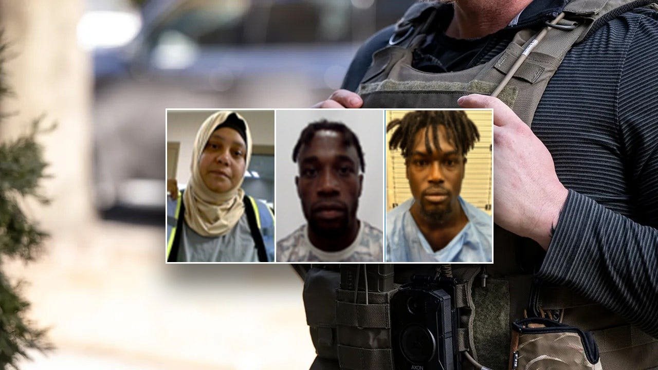 dhs-nationwide-ice-snap-benefits-fraud-crackdown.jpg