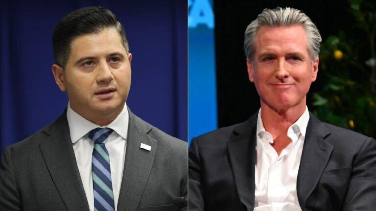 essayli-newsom-split.jpg