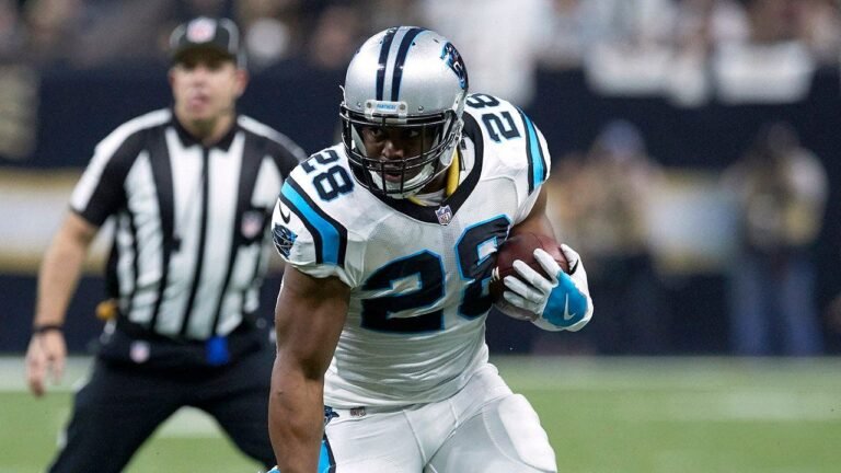 jonathan-stewart-panthers-saints-nfc-playoffs.jpg