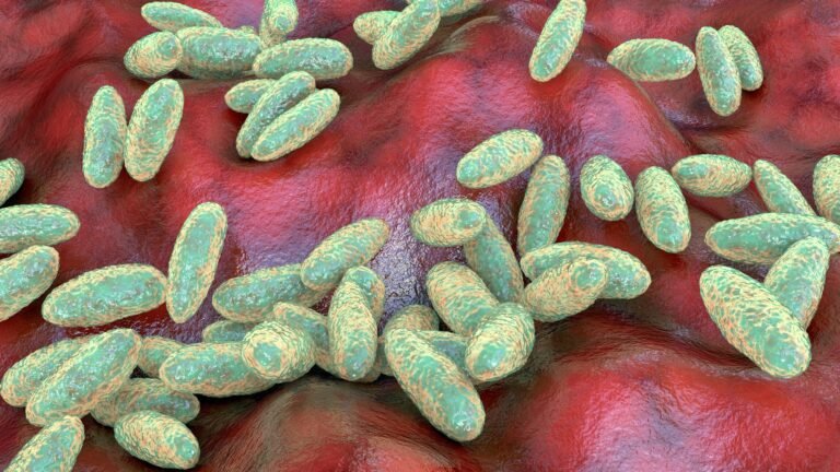plague-bacteria-yersinia-pestis.jpg