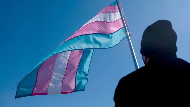 transgender-flag-during-protest.jpg