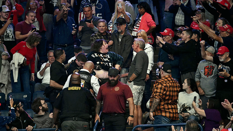 trump-rally-protest-fight_001.png