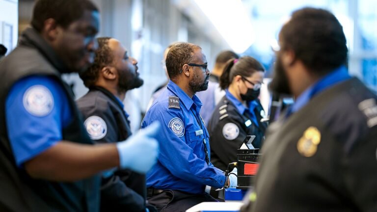 tsa-agents-scan-bags.jpg