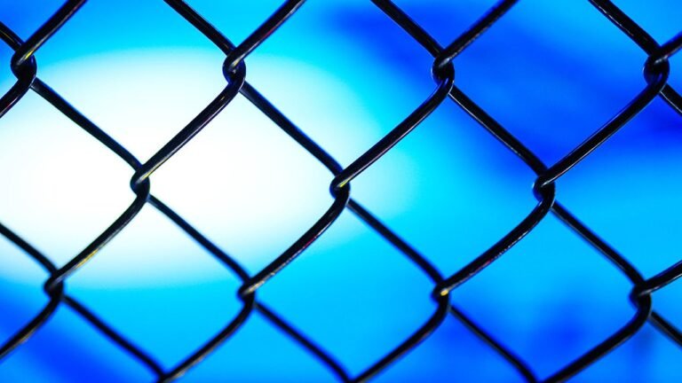 ufc-fence.jpg