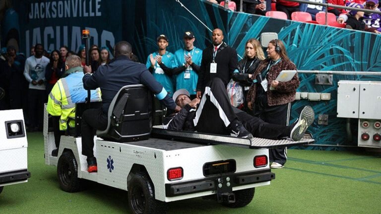 umpire-larry-smith-medical-buggy-wembley.jpg
